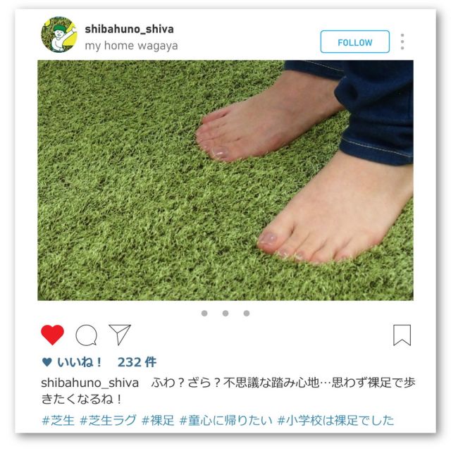 芝生風 マット シーヴァ 約50×80cm ふっくら ウレタン入り 滑り止め付き 手洗いOK いぐさ たたみ