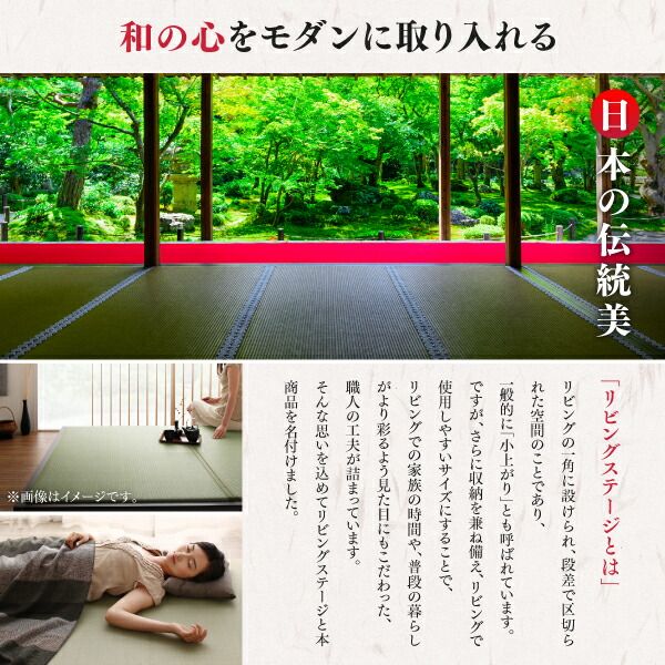 リビング収納 チェスト キャビネット タンス テレビ台 日本製 収納付きデザイン畳リビングステージ 専用別売品 60×60cm 畳1枚 60×60cm