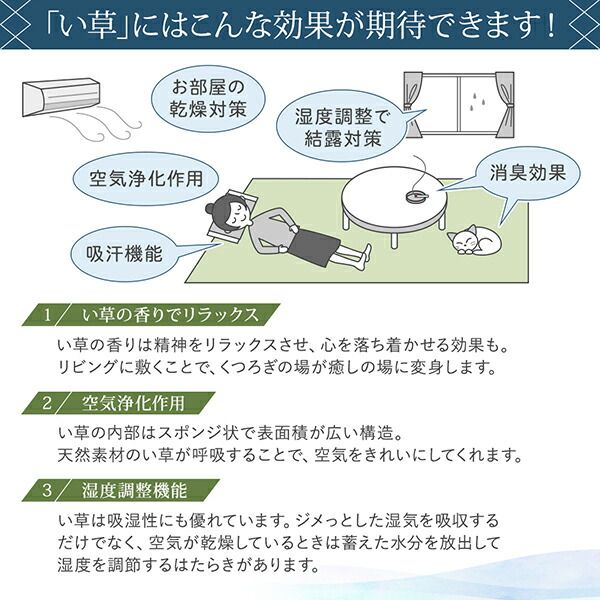 出し入れ簡単 床面吸着 軽量ユニット畳 6枚セット