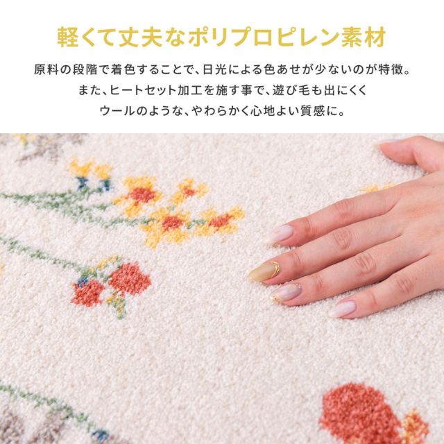 ベルギー製 ウィルトン織の玄関マット INFINITY キューガーデン 60×90cm