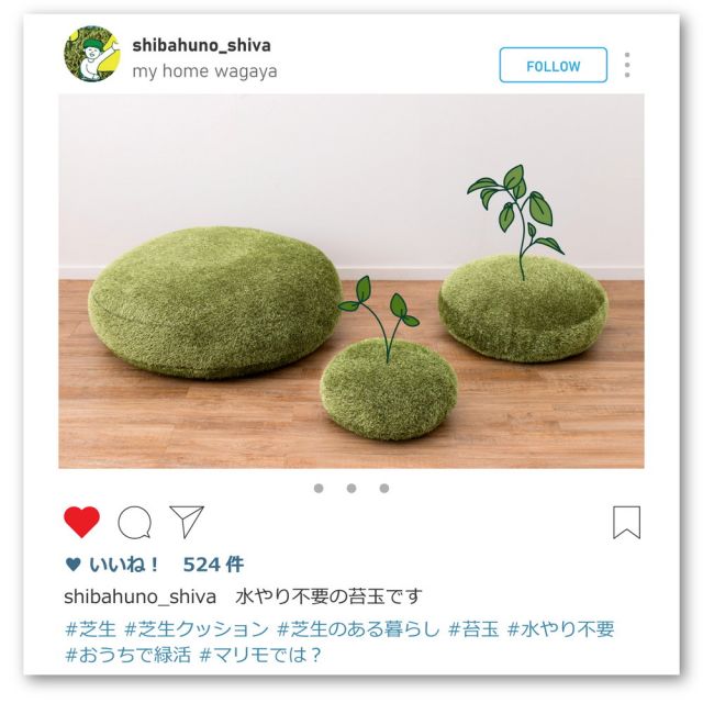 スーパSALE10倍&4時間限定10%OFF リアル芝生風生地のもちもちクッション シーヴァ Mサイズ(直径60×11)