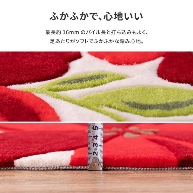 玄関マット アベル 50×80cm
