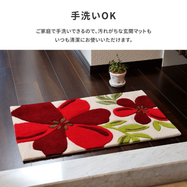 玄関マット アベル 50×80cm