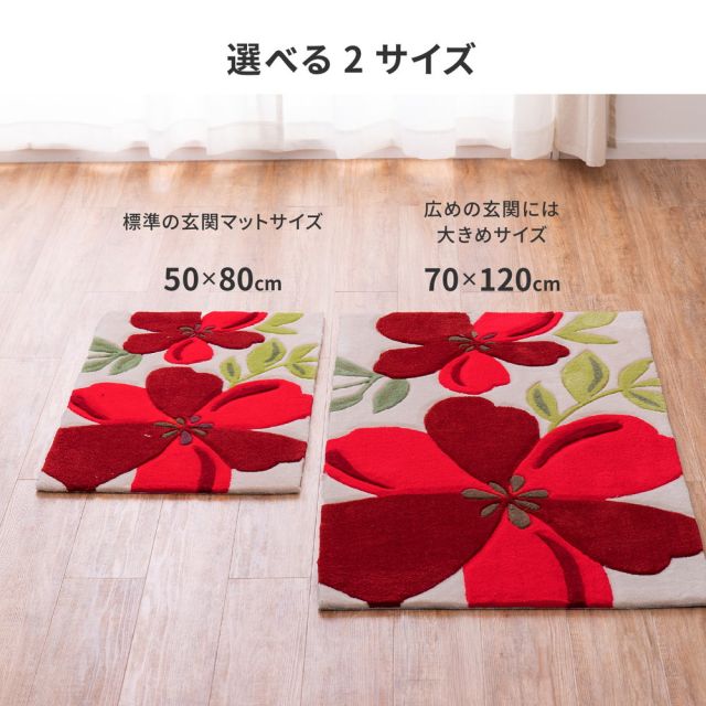 玄関マット アベル 50×80cm
