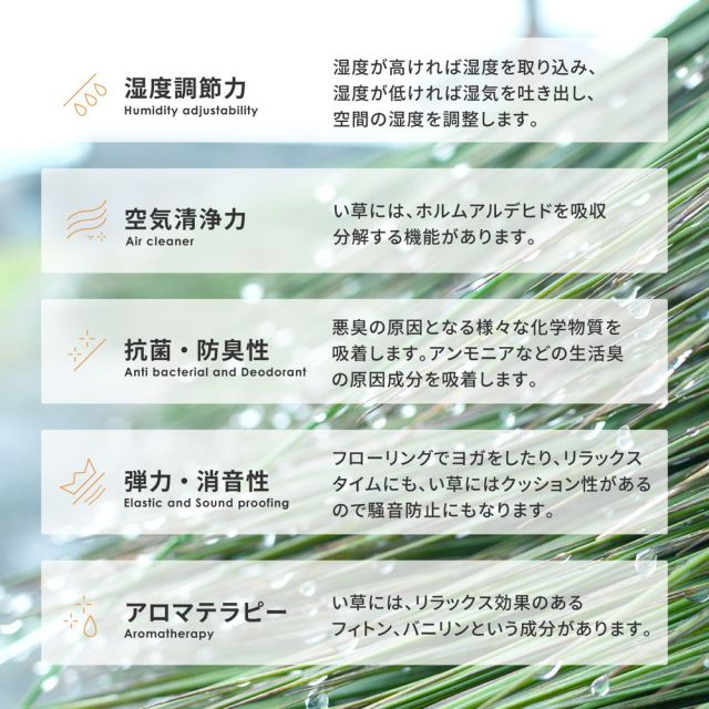 スーパSALE10倍&4時間限定10%OFF 折り畳める 畳マットレス シャイン シングル(100×200×1.1cm)