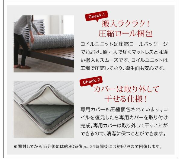 モダンライト・棚・コンセント付きデザインフロアローベッド 国産ポケットコイルマットレス付き クイーン(Q×1) 組立設置付