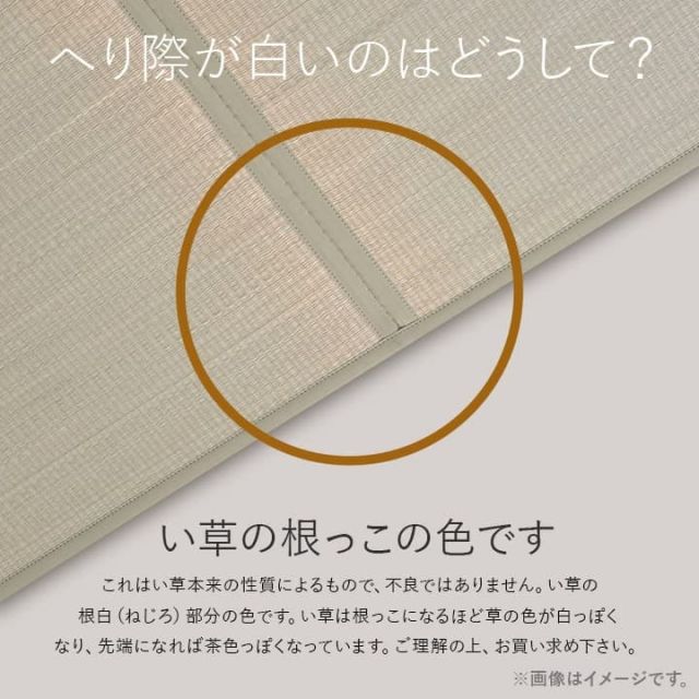 置き畳 半畳 国産 い草 簡単 和室 約82×82cm 2枚組