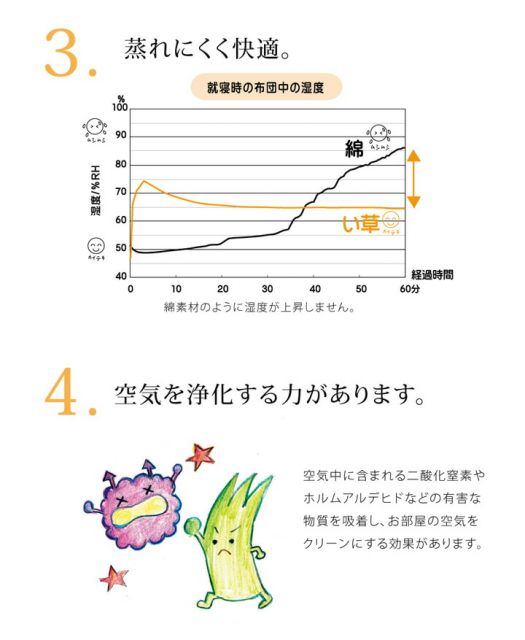 スーパSALE10倍&4時間限定10%OFF 医師との共同開発 い草寝具 『アスク ベビーマット』 約70×120cm(中:固わた15mm)