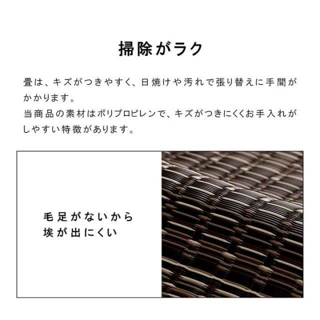 洗える カーペット ダイニング ラグ 敷詰 丈夫 日本製 国産 除菌スプレー対応 ござ アウトドア ペット 江戸間6畳(約261×352cm)