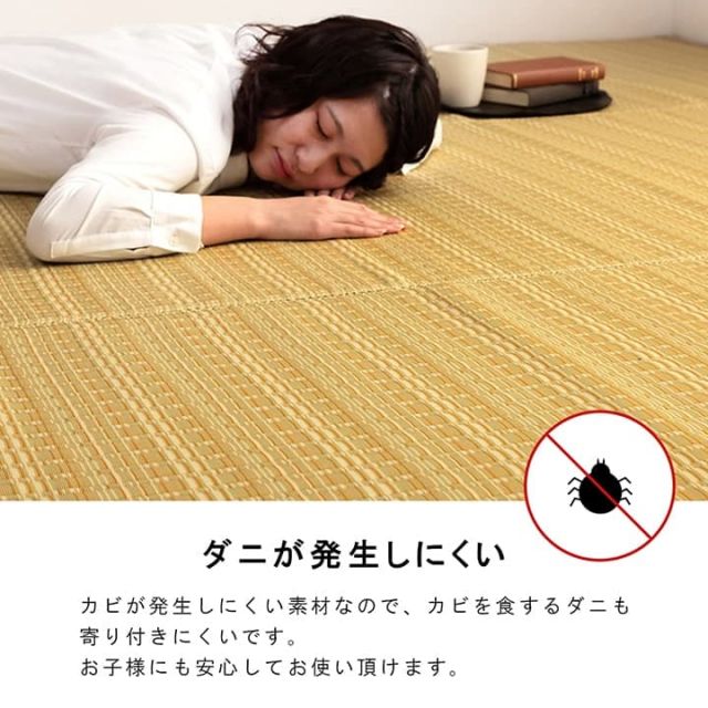 洗える カーペット ダイニング ラグ 敷詰 丈夫 日本製 国産 除菌スプレー対応 ござ アウトドア ペット 江戸間6畳(約261×352cm)