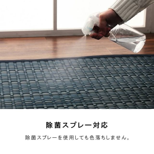洗える カーペット ダイニング ラグ 敷詰 丈夫 日本製 国産 除菌スプレー対応 ござ アウトドア ペット 江戸間6畳(約261×352cm)