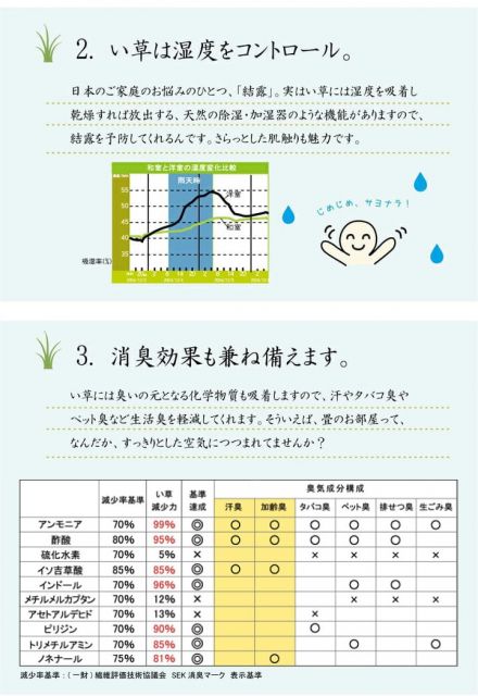 い草ラグ おしゃれ コンパクト シンプル カーペット 『DXモーセ』 約135×180cm