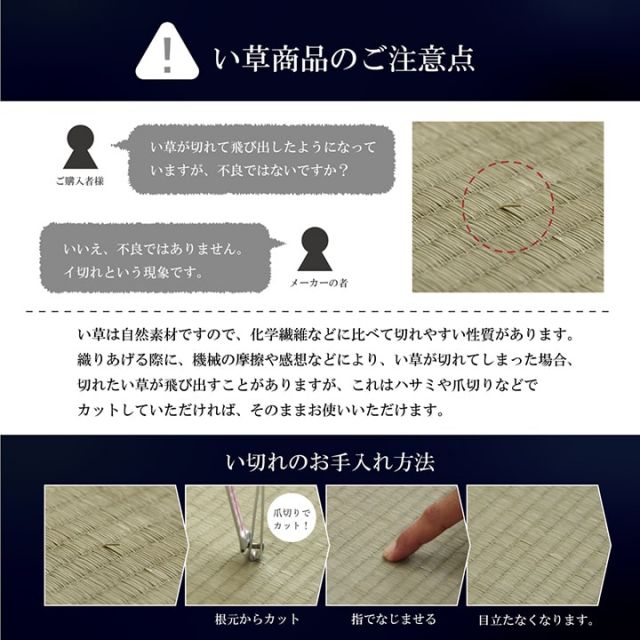 福岡県品評会最優秀賞敷物 国産 日本製 純国産 い草 掛川織 花ござ 抗菌防臭 自然素材 不織布 モダン 約191×191cm