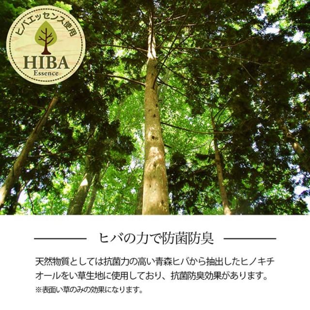 い草ラグ 花ござ カーペット 格子柄 ナチュラル シンプル 和室 洋室 裏不織布滑り止め 滑りにくい 抗菌防臭 消臭 お手入れ簡単 夏快適さらさら 本間2畳 (約191×191cm)