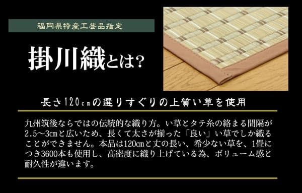 掛川織 い草カーペット 『豊後』 江戸間4.5畳(約261×261cm)