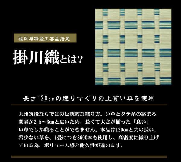 掛川織 い草カーペット 『雲仙』 江戸間3畳(約174×261cm)