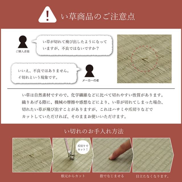 スーパSALE10倍&4時間限定10%OFF い草 い草マット 国産 マット ごろ寝マット フリーマット 和風柄 約70×180cm(中:固わた20mm)