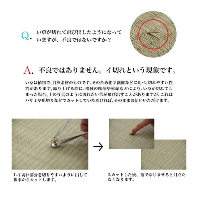 日本製 い草 い草マット マット ごろ寝マット フリーマット クッション性 和風柄 約70×180cm
