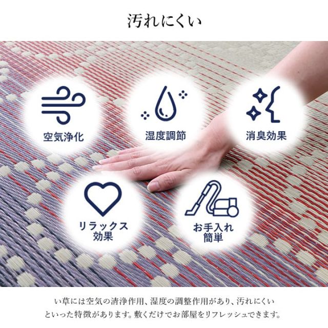 い草ラグ 和モダン柄 インテリア 節電 夏用 涼しい おしゃれ おすすめ 湿度調節 消臭効果 お手入れ簡単 約191×250cm