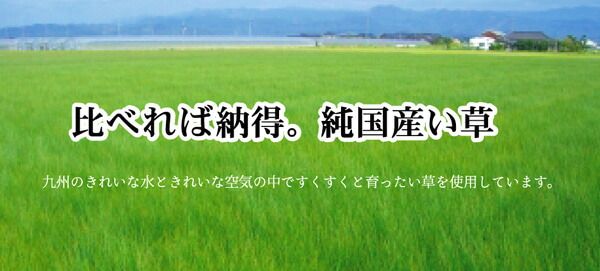 純国産 い草花ござカーペット 『五風』 江戸間8畳(約348×352cm)