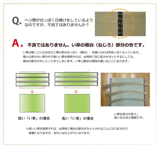純国産 い草 上敷き カーペット 双目織 『ほほえみ』 本間4.5畳(約286×286cm)