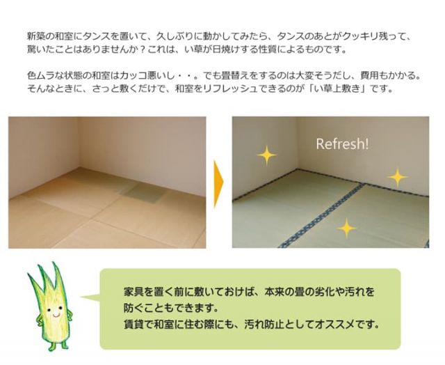 純国産 い草 上敷き カーペット 双目織 『ほほえみ』 本間4.5畳(約286×286cm)