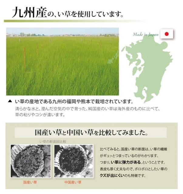 純国産 い草 上敷き カーペット 双目織 『ほほえみ』 本間4.5畳(約286×286cm)