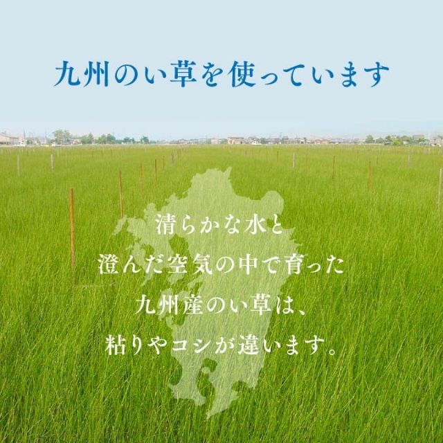 純国産 い草 上敷き お手入れ簡単 カーペット 汚れに強い 双目織 六一間8畳(約370×370cm)
