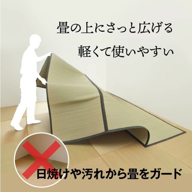 純国産 い草 上敷き お手入れ簡単 カーペット 汚れに強い 双目織 六一間8畳(約370×370cm)