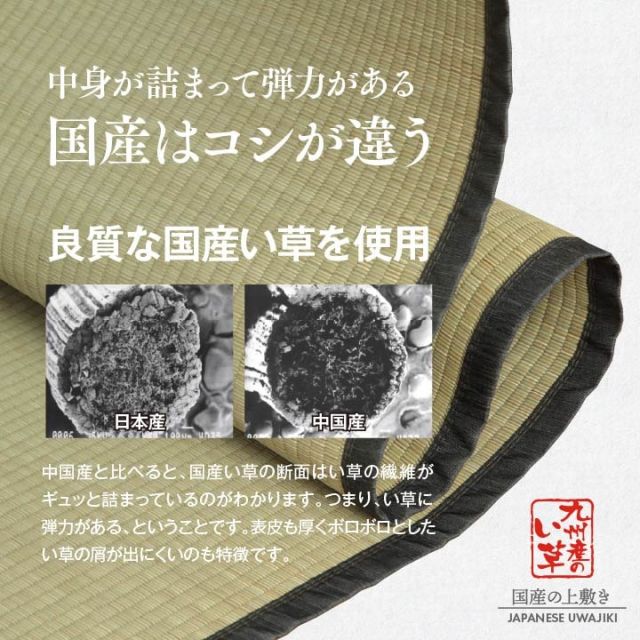 純国産 い草 上敷き お手入れ簡単 カーペット 汚れに強い 双目織 六一間8畳(約370×370cm)