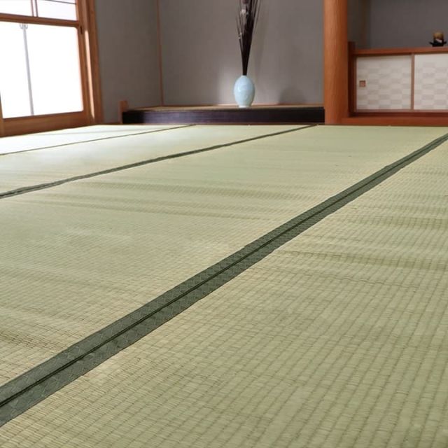 純国産 い草 上敷き カーペット 双目織 『草津』 江戸間6畳(約261×352cm)