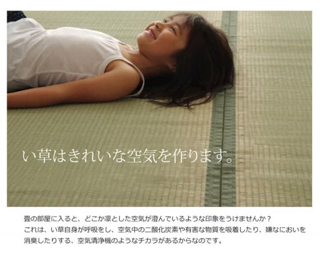 純国産 い草 上敷き カーペット 双目織 『草津』 江戸間6畳(約261×352cm)