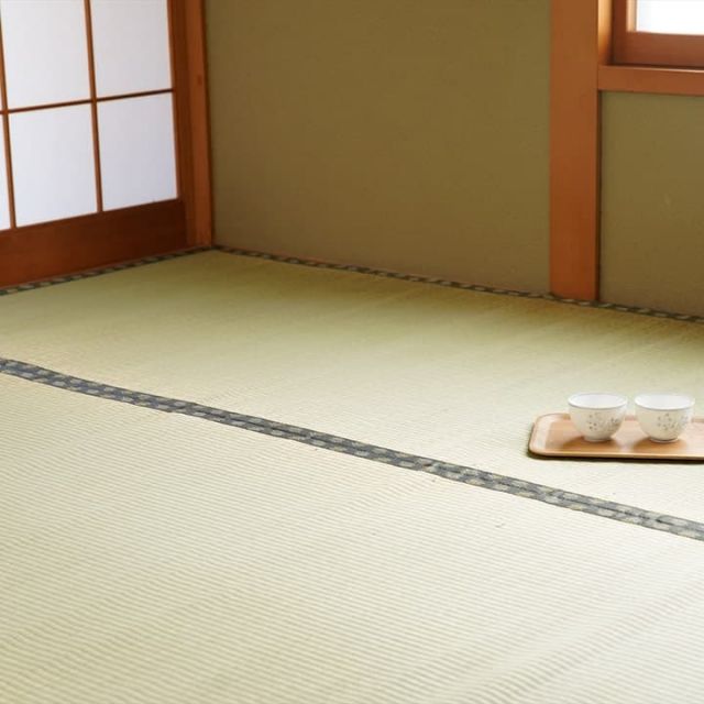 純国産 い草 上敷き カーペット 双目織 『松』 団地間4.5畳(約255×255cm)
