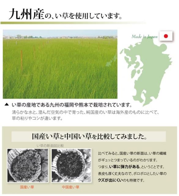 純国産 い草 上敷き カーペット 双目織 『松』 団地間4.5畳(約255×255cm)