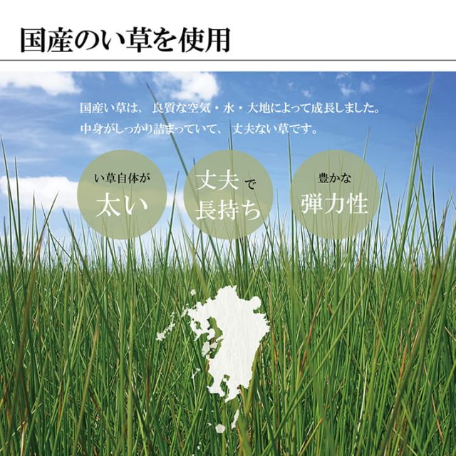 福岡県品評会最優秀賞敷物 国産 日本製 純国産 い草 掛川織 花ござ 抗菌防臭 自然素材 モダン 約191×191cm