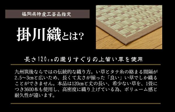 純国産 掛川織 い草カーペット 『奥丹後』 江戸間6畳(約261×352cm)