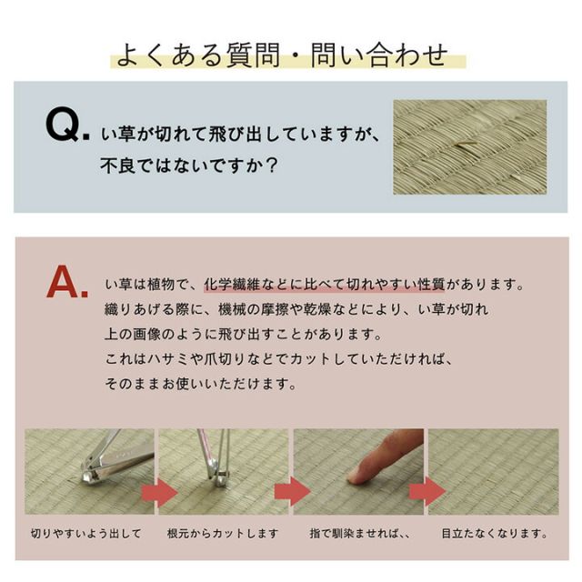 ラグ い草 ギャベ 自然素材 抗菌防臭 不織布 約180×240cm