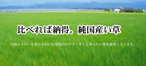 純国産 掛川織 い草カーペット 『スウィート』 江戸間3畳(約174×261cm)
