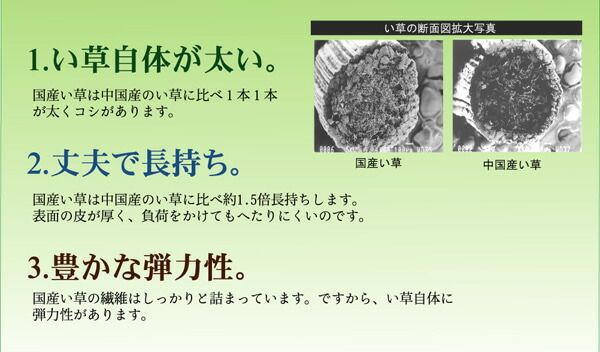 純国産 掛川織 い草カーペット 『スウィート』 江戸間3畳(約174×261cm)