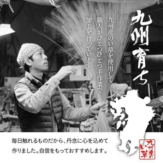 純国産 い草 上敷き カーペット 格子柄 江戸間6畳(約261×352cm)