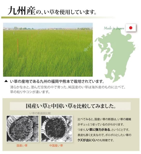 純国産 い草 上敷き カーペット 糸引織 『湯沢』 六一間8畳(約370×370cm)