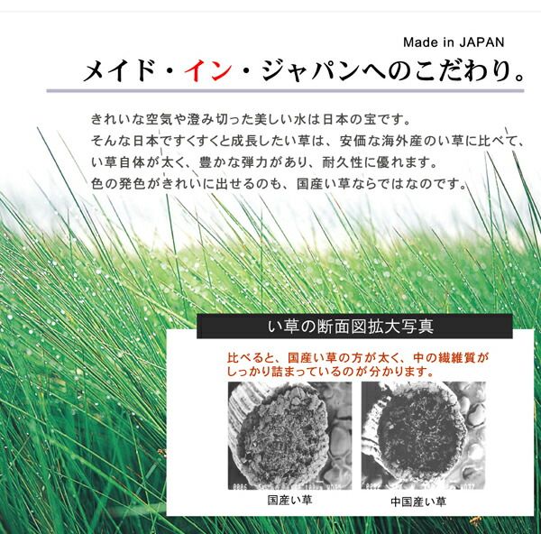 となりのトトロ い草 ラグマット/絨毯 140×180cm 日本製 抗菌 防臭 調湿効果 弾力性 耐久性抜群 〔リビング〕代引NG カーペット・マット・畳 マット