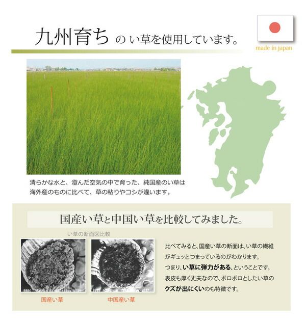 い草 枕/ピロー くぼみ平枕 約50×30cm 中材:低反発ウレタンチップ おとこの枕 抗菌防臭 消臭機能 〔ベッドルーム 寝室〕代引NG 寝具 枕・抱き枕 枕