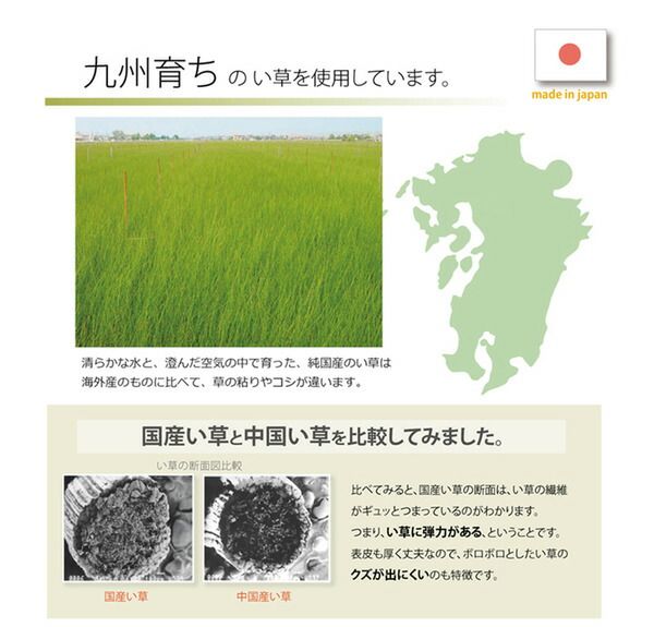 スーパSALE10倍&4時間限定10%OFF 日本製 い草 置き畳/ユニット畳 【半畳 ナチュラル 約82×82cm 4枚組】 軽量 抗菌 防臭 防滑 連結ジョイント付 〔リビング〕【代引NG】