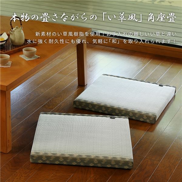 スーパSALE10倍&4時間限定10%OFF い草風 角座畳/座布団 【約幅55×奥行55×高さ5cm】 正方形 水拭き可 軽量 防カビ仕様 『祇園 ぎおん』 〔リビング 店舗〕【代引NG】