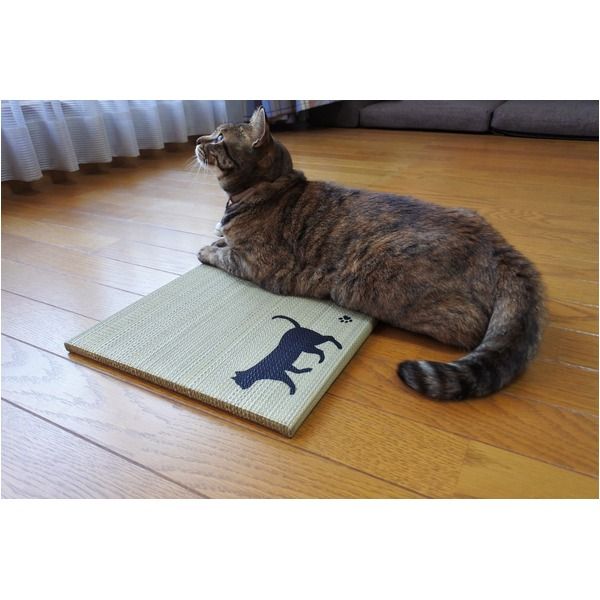 スーパSALE10倍&4時間限定10%OFF 国産い草使用 足快適プチたたみ ワルツ(犬/ブラウン)