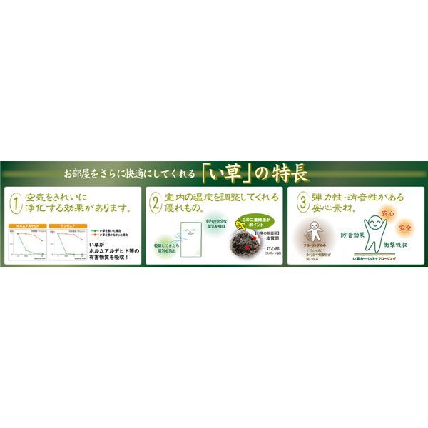 国産 い草ラグマット/絨毯 261×352cm ブルー 抗カビ 消臭 ホットカーペット 床暖房対応 『築彩 ちくさい』 〔リビング〕代引NG
