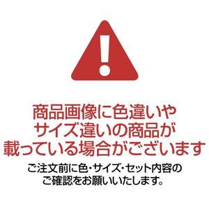 ハンガー付きミラー/ハンガーラック ナチュラル 幅400mm 飛散防止加工鏡 スチールフレーム キャスター 〔リビング〕 組立品代引NG