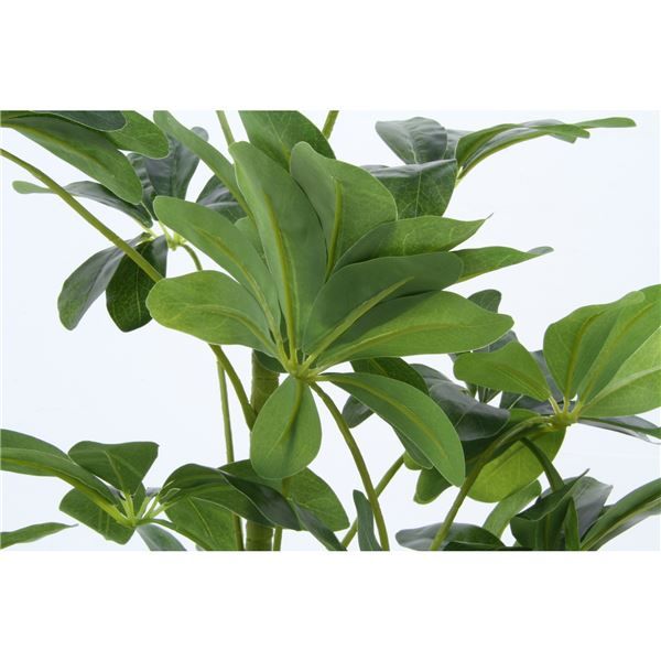 スーパSALE10倍&4時間限定10%OFF 観葉植物 造花 幅50×奥行50×高さ120cm ヤドリフカノキ インテリアグリーン リビング ダイニング インテリア雑貨【代引NG】