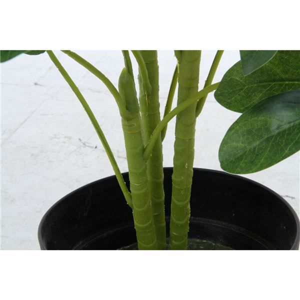 スーパSALE10倍&4時間限定10%OFF 観葉植物 造花 幅50×奥行50×高さ120cm ヤドリフカノキ インテリアグリーン リビング ダイニング インテリア雑貨【代引NG】